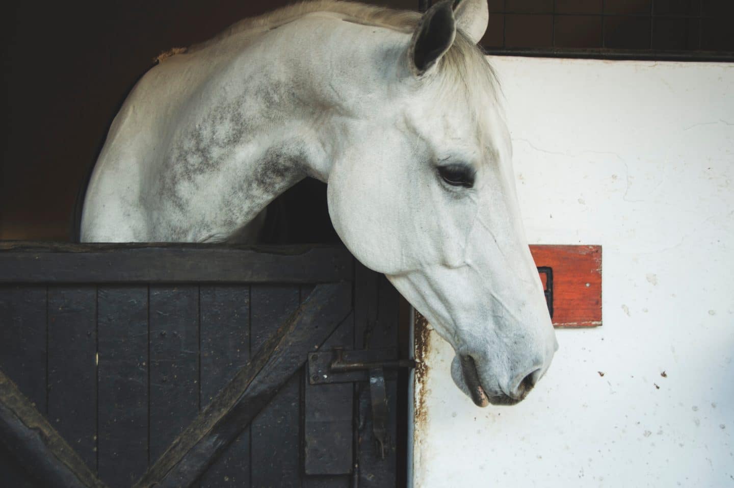 Introducing The Advantages of Black Barn Paint Promain Knowledge Hub