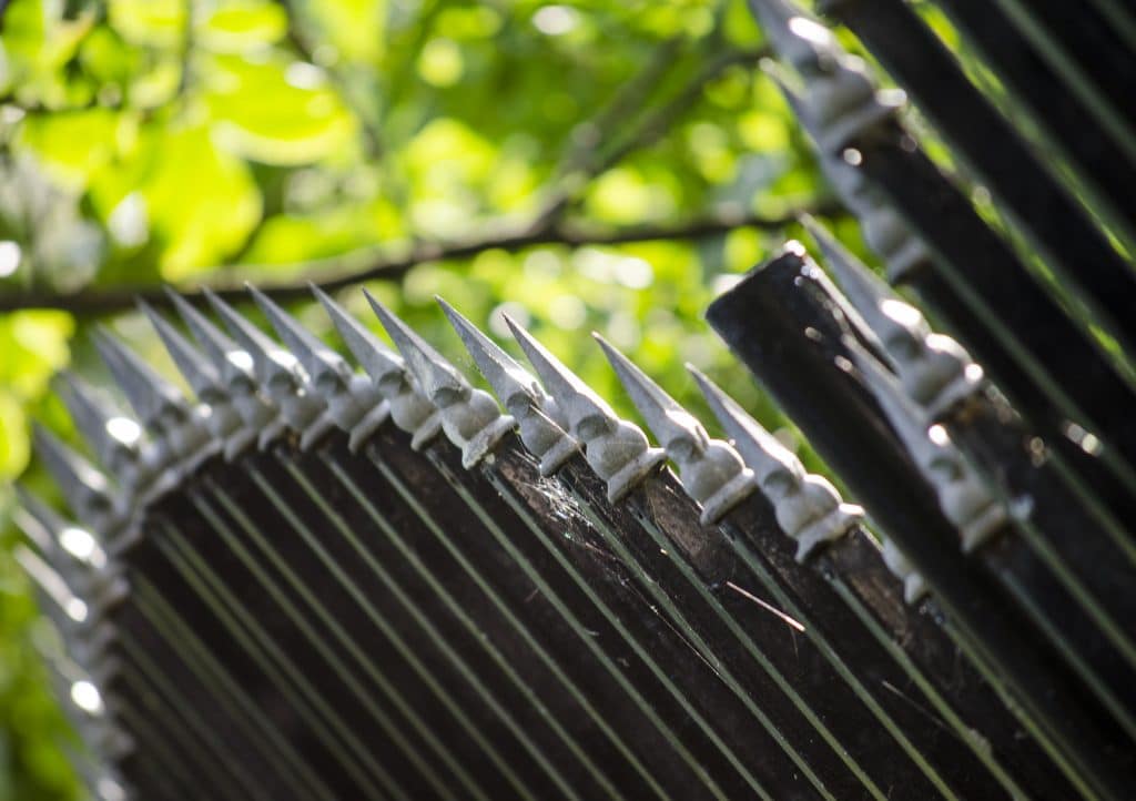 1 Black Fence Paint & Stain Guide Best Black Fence Promain