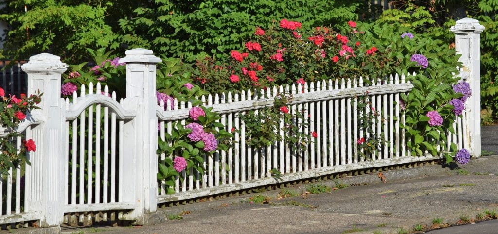 How To Choose Fence Paint Colours - Promain