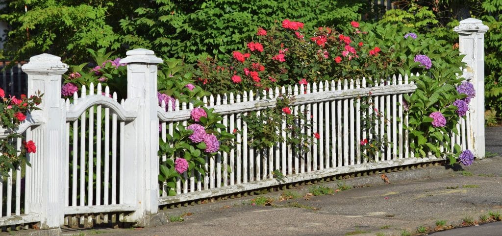 Coloured Fence 3