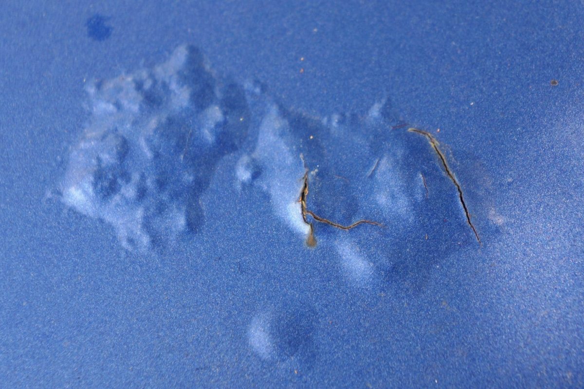 How to Prevent Paint Blistering Promain Resource Centre