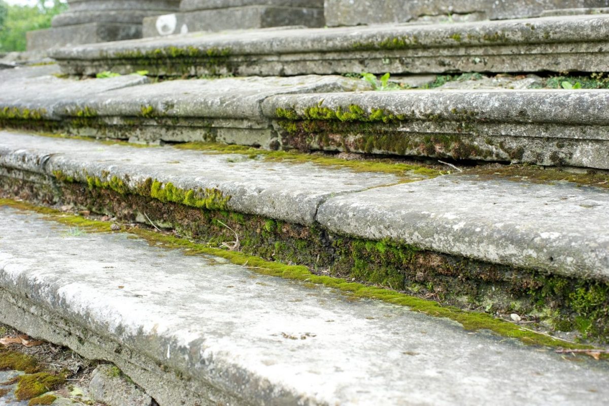 Removing Algae From Your Patio, Path or Paving Promain Resource Centre