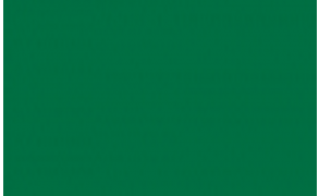 International Enviroline 2405 - Green