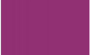 Selemix 7-861 1 Pack Synthetic One-Stage Semi-Gloss Finish - RAL 4006 Traffic Purple - 1 Litre