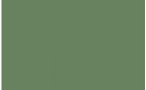 Zinsser Allcoat Exterior - RAL 6011 Reseda Green - Gloss - 5 Litres
