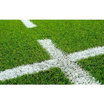 Sports-Cote GMC Gold Grass Paint For Transfer Wheel Machine