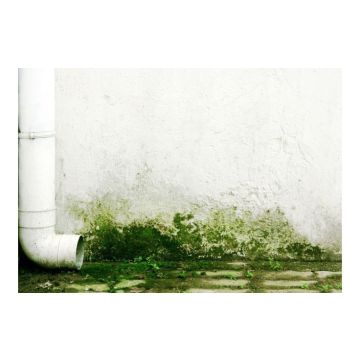 Centrecoat R05 BF Facade Cleaner