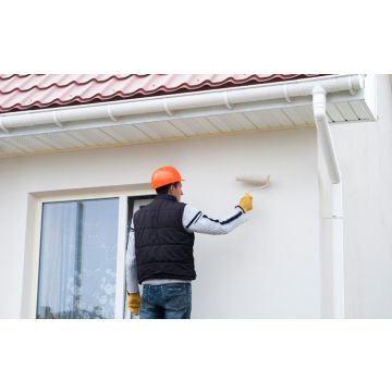 Centrecoat R155 Fungicidal Paint Additive