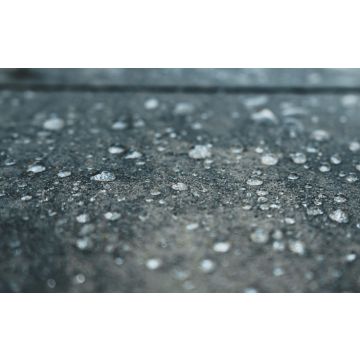 Centrecoat R28 Pure Sealer