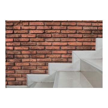 Centrecoat Concrete & Brick Sealer