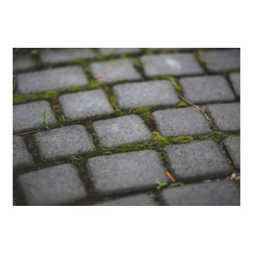 Centrecoat R26 Patio Decking Hard Surface Restorer