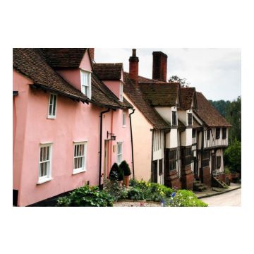 The Traditional Paint Company Pure Linseed Oil Paint