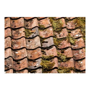 Centrecoat R06 BR Facade and Roof Cleaner