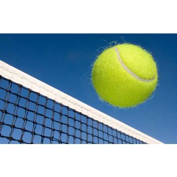 Sports-Cote Moisture Cure