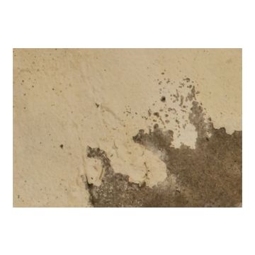 Tor SP Stabilising Sealer AK602