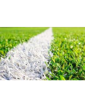 Sports Coatings Sports-Line AG For Artificial Grass