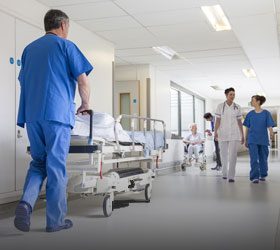 Hygiene Paints Category